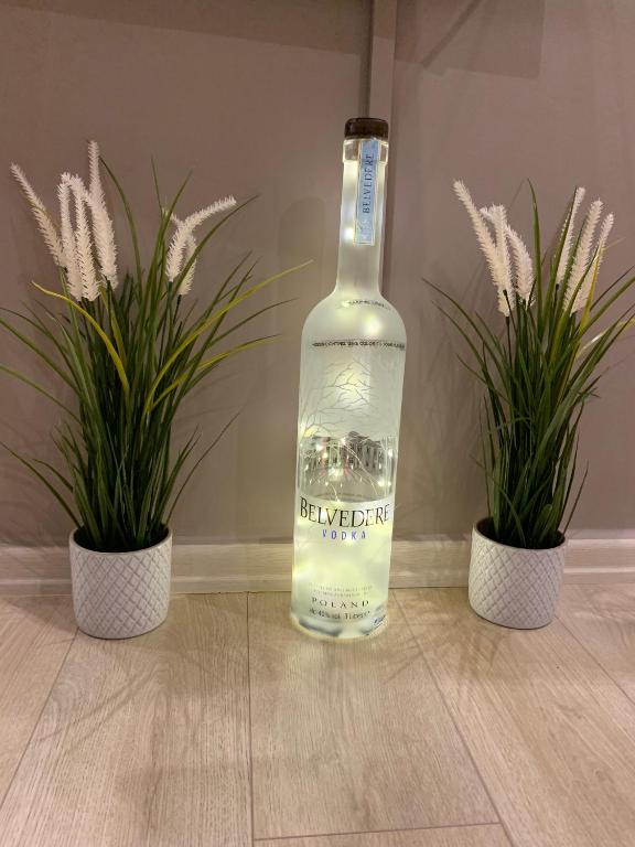 Nápoje v ubytování Eva suite Vip excellent studio 1