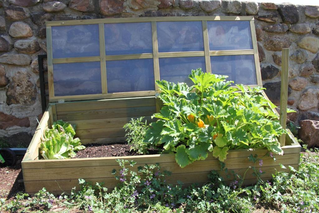 Fotografie z fotogalerie ubytování Casa Rural Marem v destinaci El Rasillo