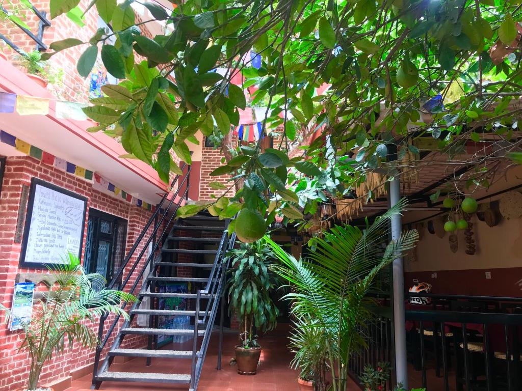 Fotografie z fotogalerie ubytování Gurung's Home v destinaci Kathmandu