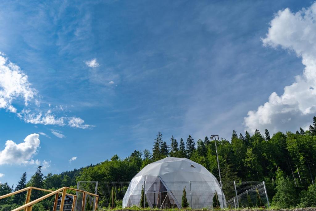 Příroda nedaleko luxury tent