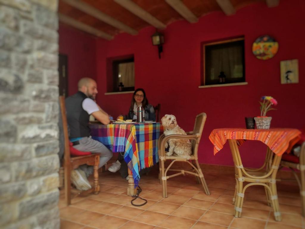 Nápoje v ubytování Bajo Los Tilos