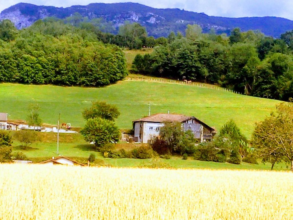 a house in the middle of a grassy field at OKAMI DU VERCORS in Saint-Laurent-en-Royans