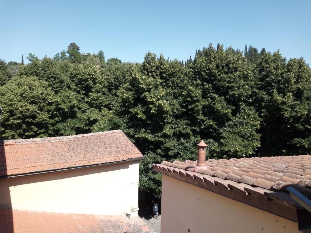 vistas a los árboles desde el techo de una casa en home paolina, en Greve in Chianti