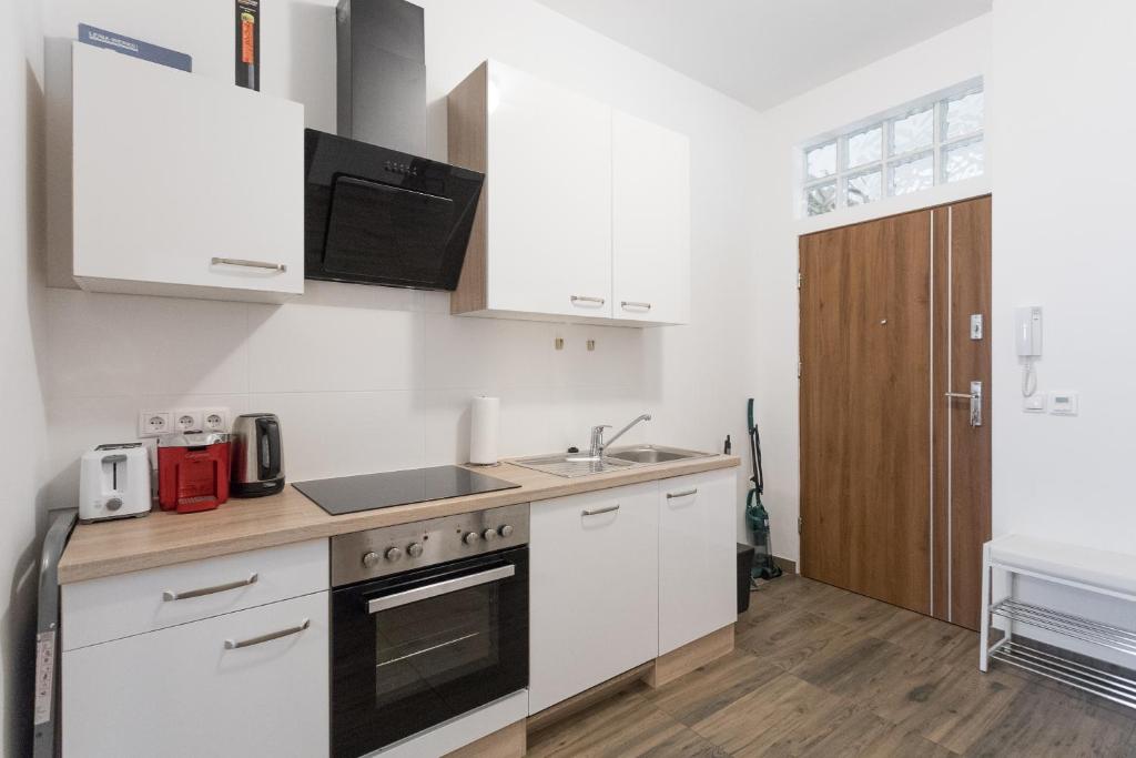 Kuchnia lub aneks kuchenny w obiekcie Vienna Smile Apartment Schoenbrunn