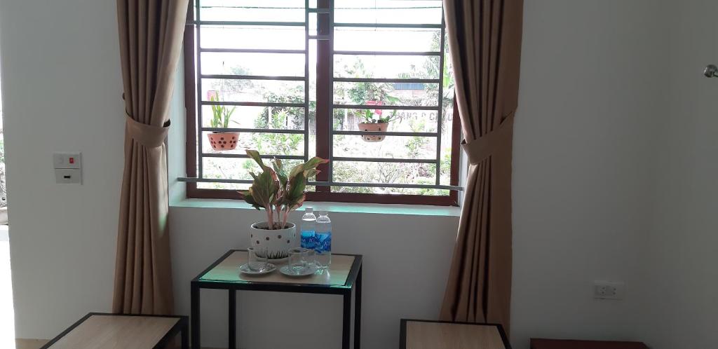 Tre Xanh Homestay - 5