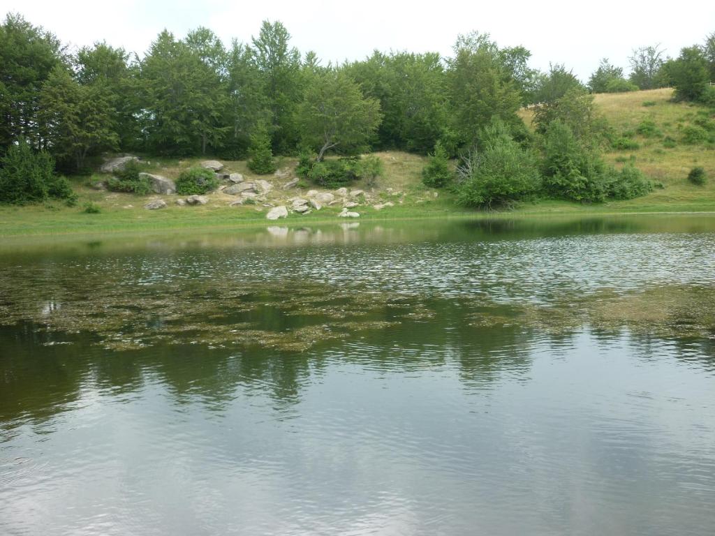 Loodusmaastik of the bed and breakfast lähedal