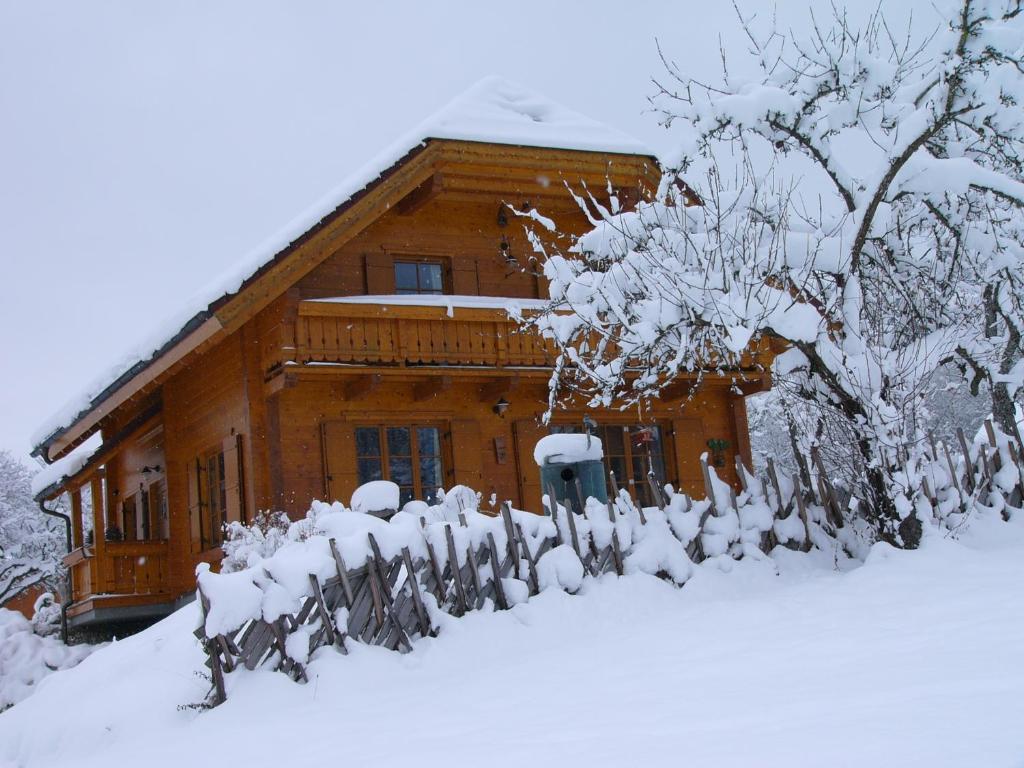 Ferienhaus Dietrich by Schladming-Appartements v zimě