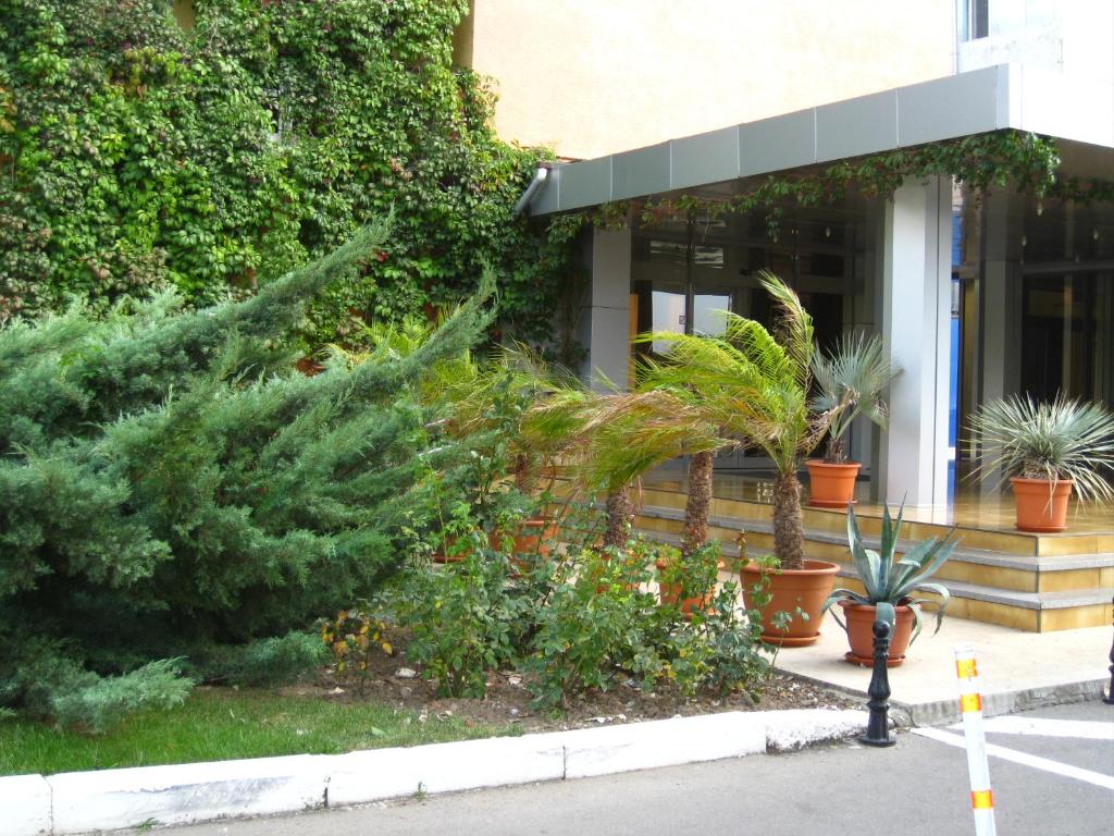 Zahrada ubytování Hotel Palas