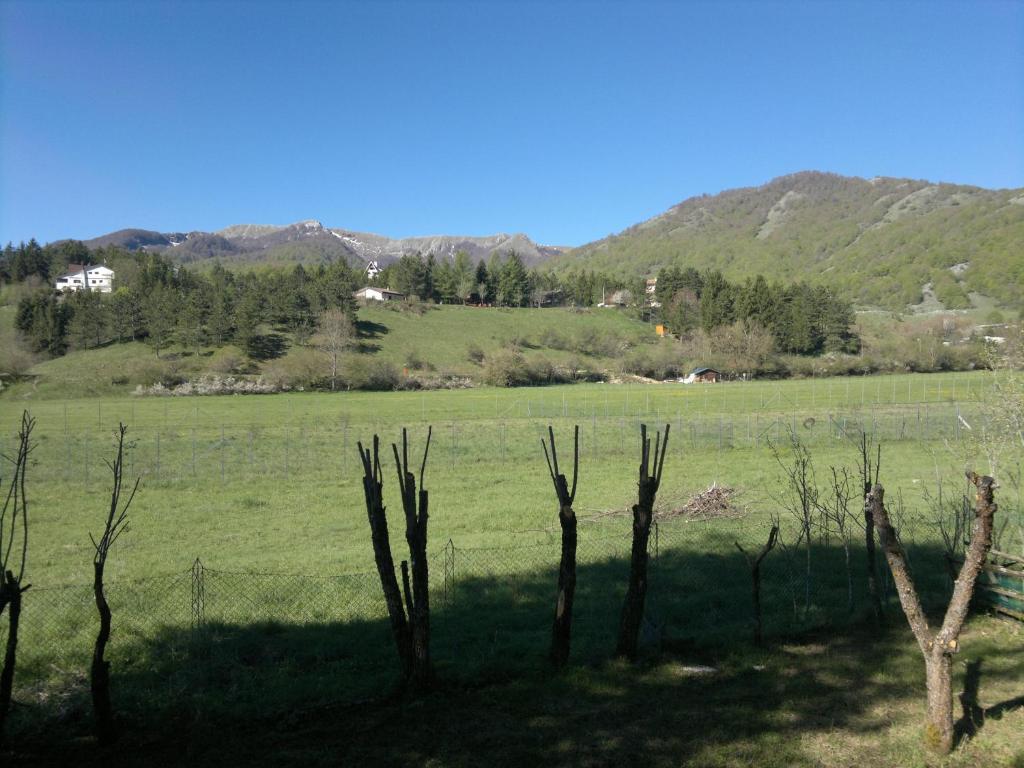 Príroda v okolí penziónu