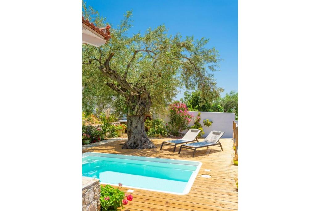 a backyard with a swimming pool and an olive tree at Neptune in Alonnisos