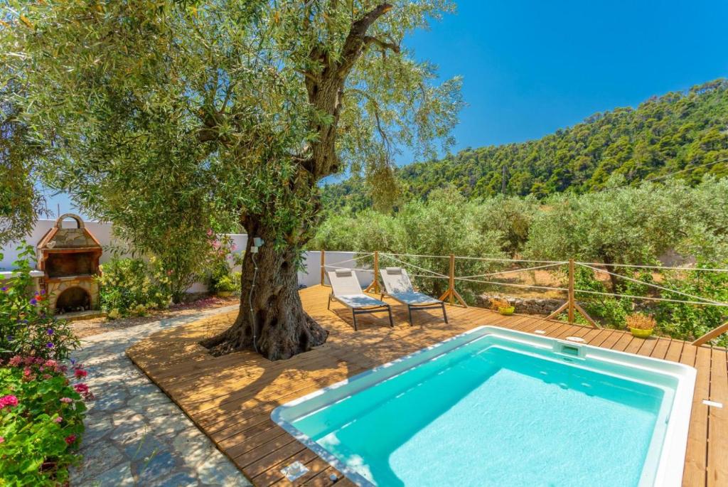 an outdoor pool with a tree and a chair at Neptune in Alonnisos