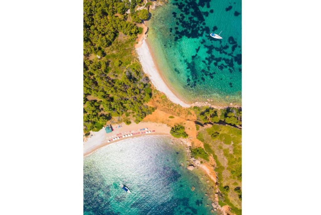 an aerial view of a beach and the ocean at Neptune in Alonnisos