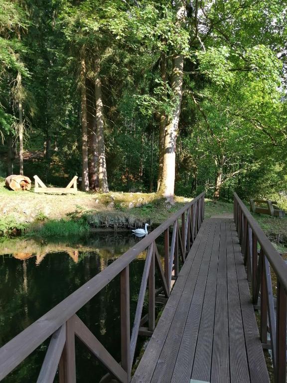 Przyroda w pobliżu tego hotelu
