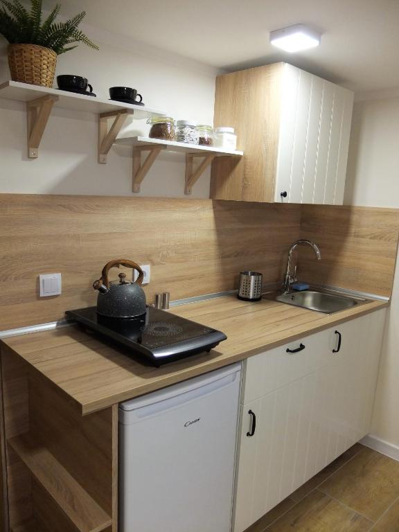 Kuchyň nebo kuchyňský kout v ubytování Apartamenty Milka