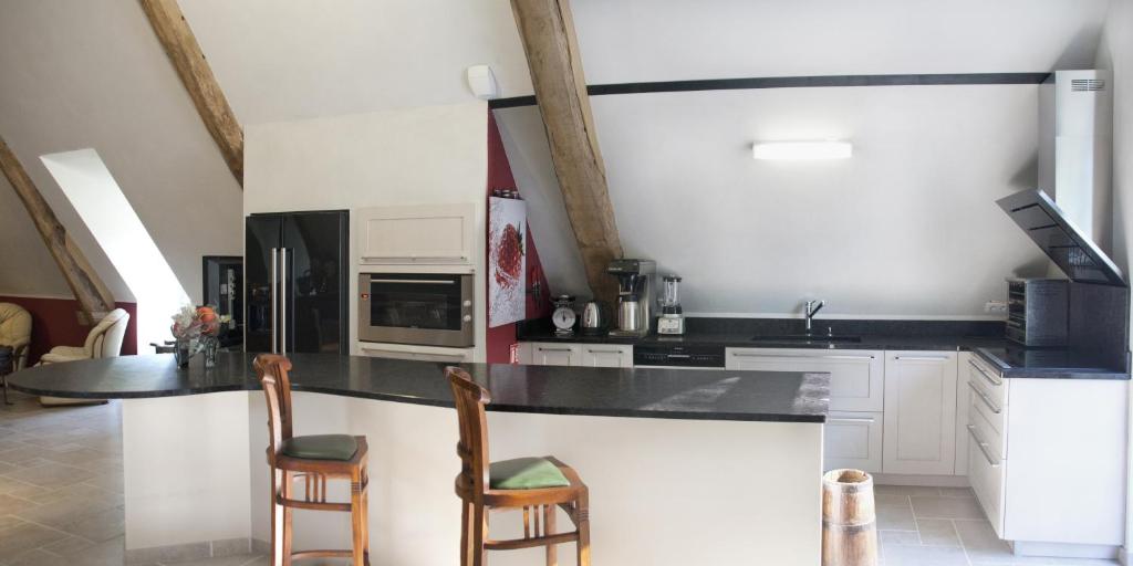 Kuchyň nebo kuchyňský kout v ubytování Domaine de Janis & Spa