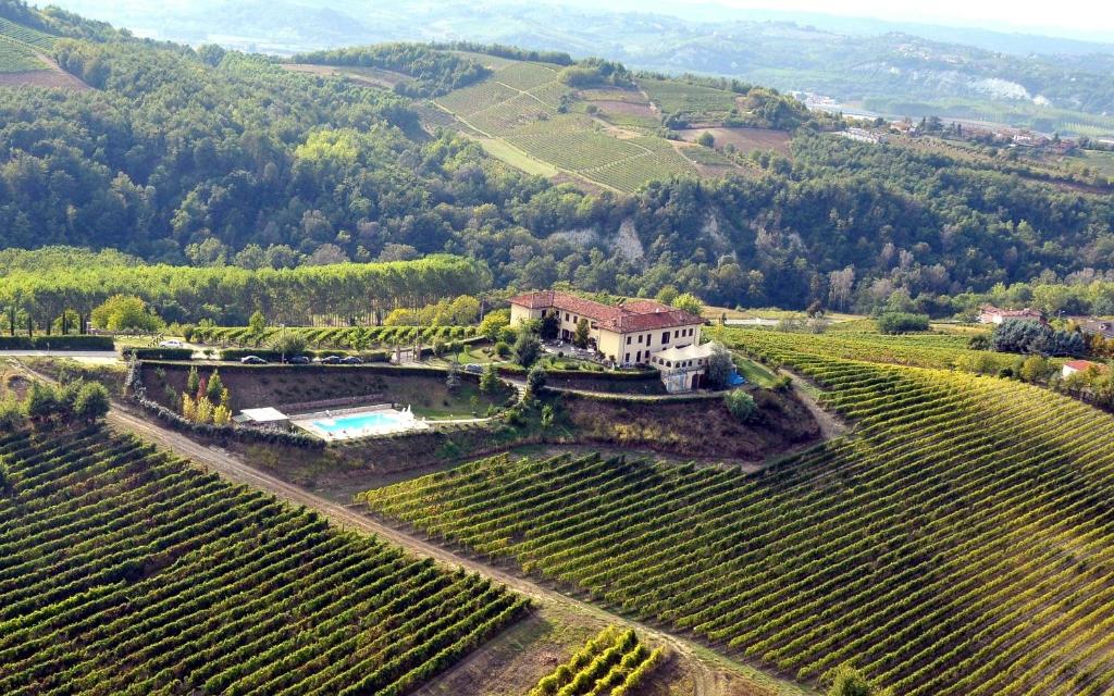uma vista aérea de uma casa numa vinha em Agriturismo Bricco San Giovanni em Isola d'Asti