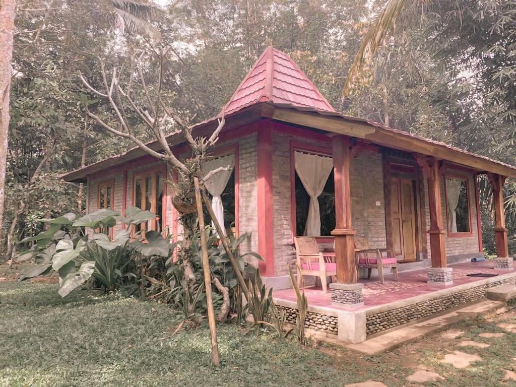 Zahrada ubytování Saridevi Ecolodge
