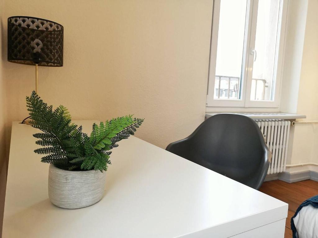 Le XI - Suite Colmar Gare – photo 25