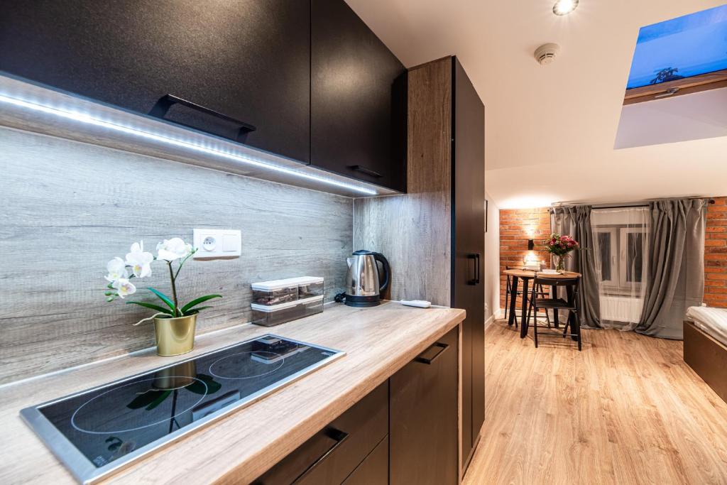 Lubomirskiego 23 Residence - great location, 10 min to Main Square by foot, right next to Main Rail and Bus Station - Resim 21