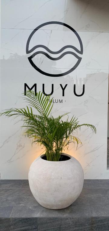Certifikát, hodnocení, plakát nebo jiný dokument vystavený v ubytování Hotel Muyu Tulum