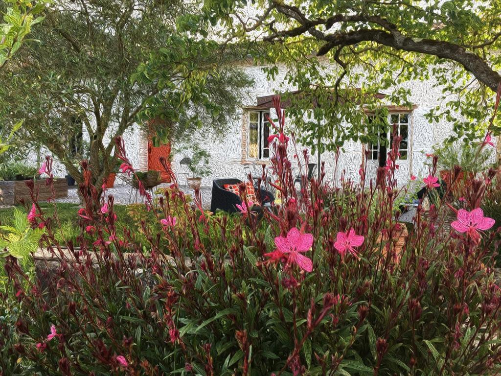 un jardín con flores rosas frente a una casa en Au Sigala, en Lisle-sur-Tarn