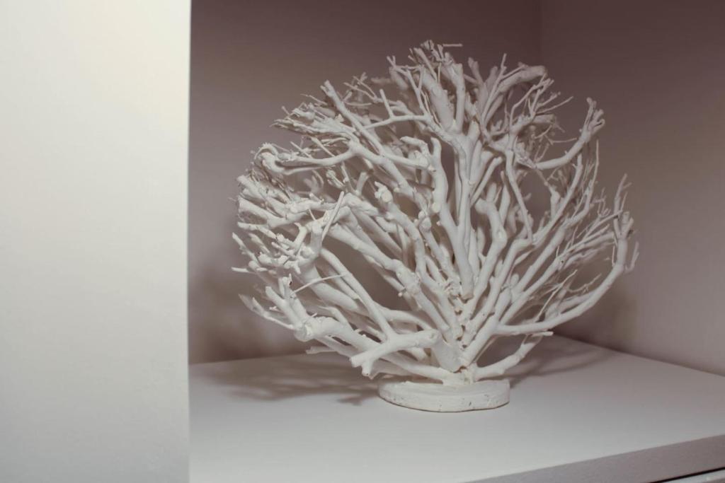 Dimora Alborelli - 13