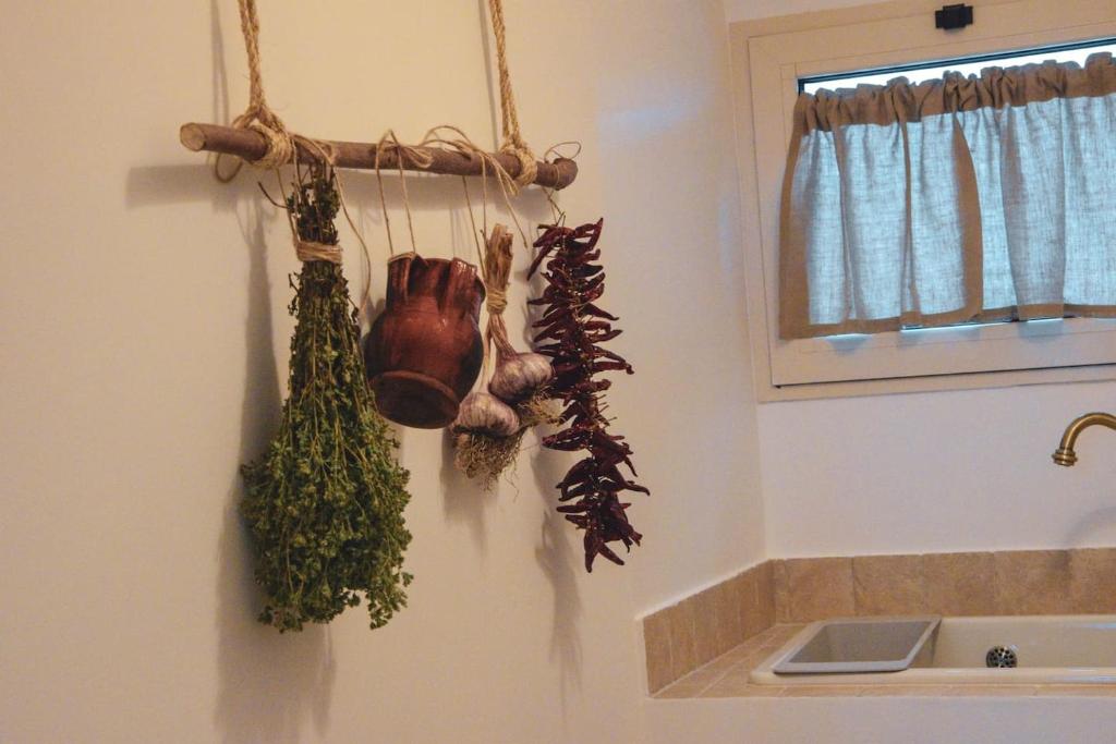 Dimora Alborelli - 16