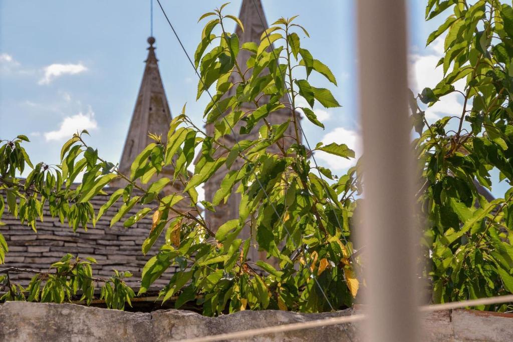 Dimora Alborelli - 18