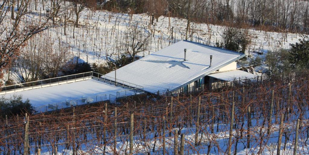 D'Orsaria B&B And Wines v zimě