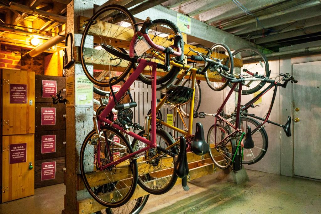 オーシャン アイランド イン | バックパッカーズ | スイートの敷地内または近くで楽しめるサイクリング