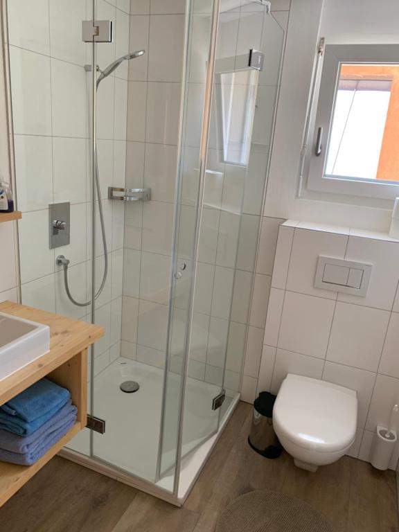Koupelna v ubytování Haus Baracca