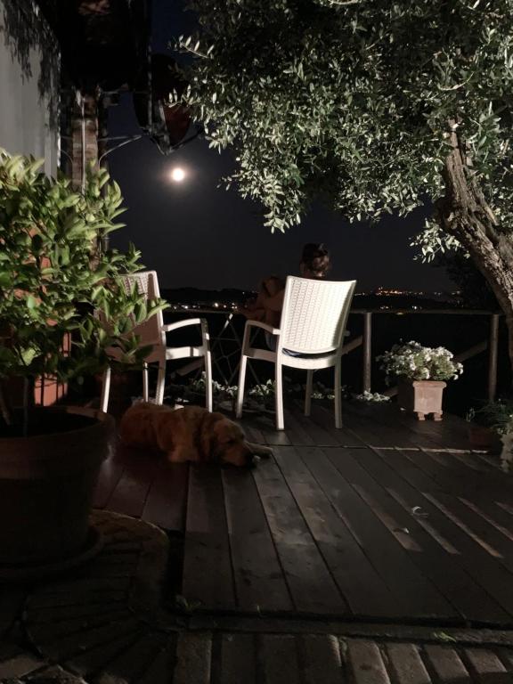 Fotografia z galérie ubytovania Locazione turistica Casa olivo v destinácii Fucecchio