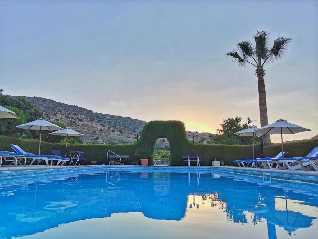 a swimming pool with chairs and a palm tree at Ampelokipi Holiday Apartments in Pissouri