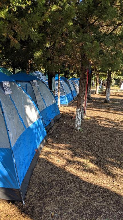 Fotografie z fotogalerie ubytování The Sea Turtle Camp v destinaci Dhërmi