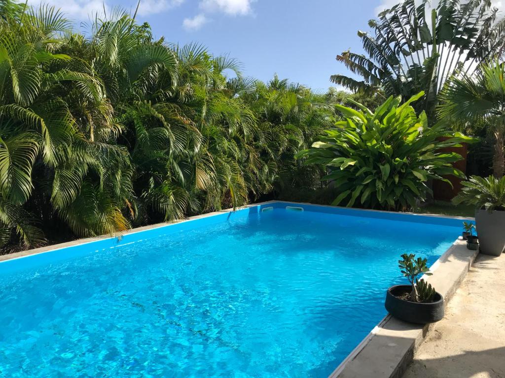 a blue swimming pool with palm trees in the background at Villa Saphir B & B in Sainte-Anne