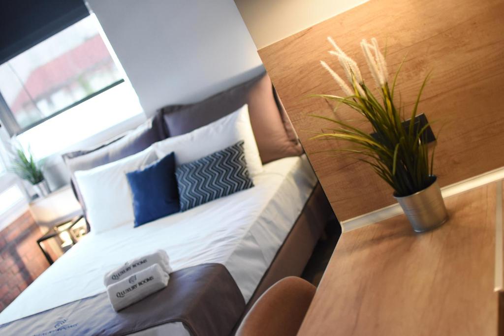 Q Luxury Rooms - One-Bedroom Apartment