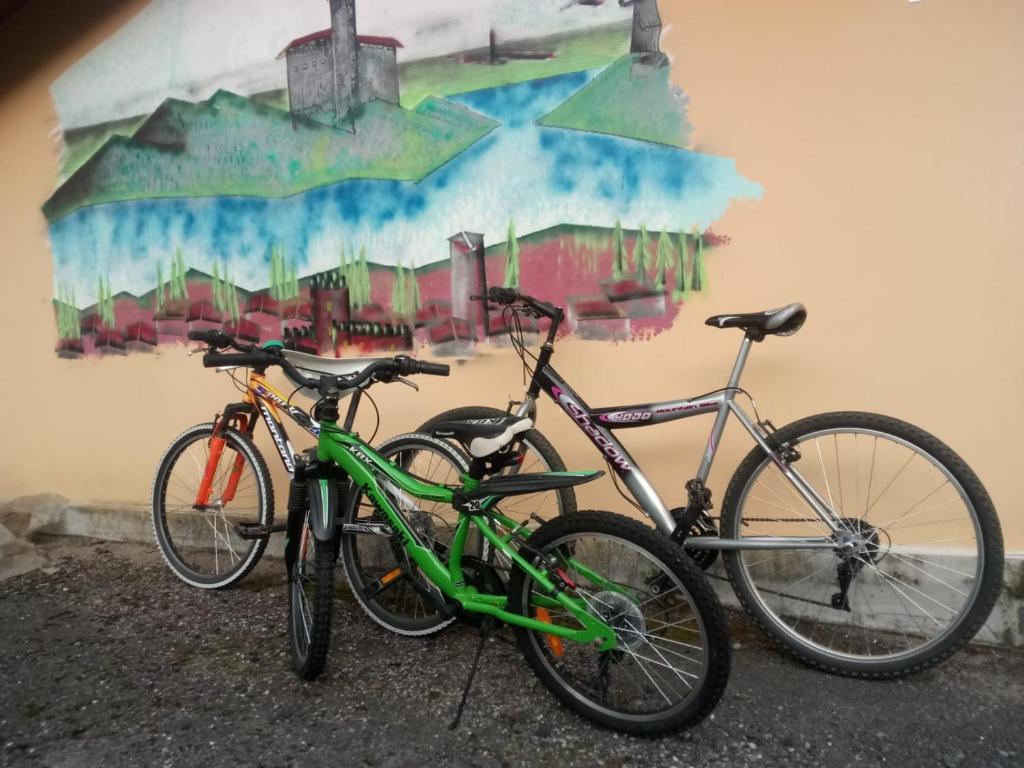 Jízda na kole v ubytování Il Castello nebo okolí