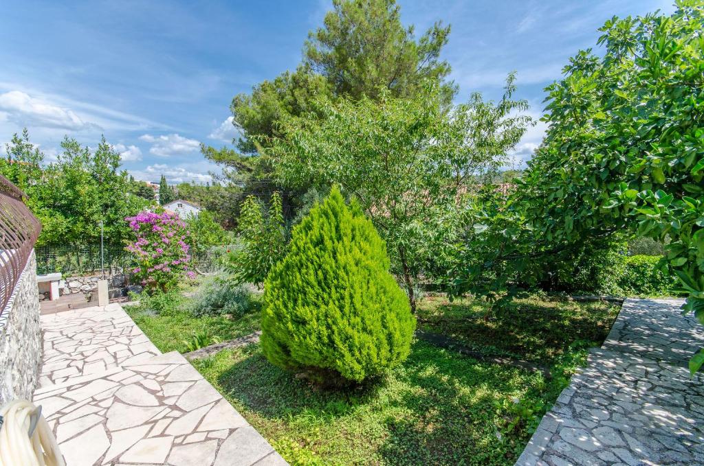 Zahrada ubytování House Blanka