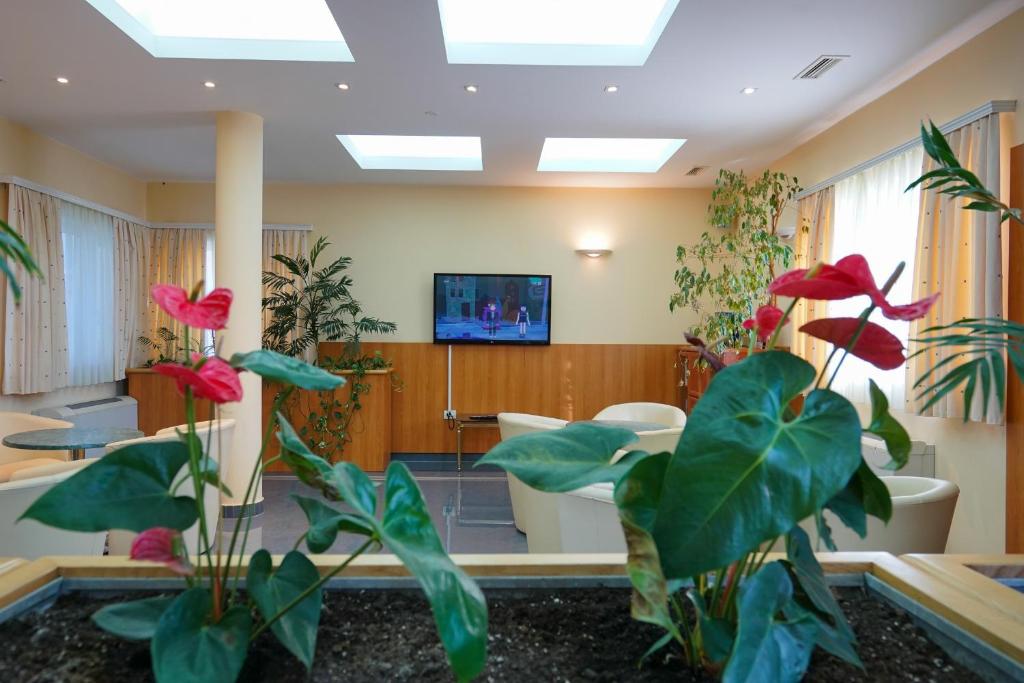Televízia a/alebo spoločenská miestnosť v ubytovaní Hotel Belvedere
