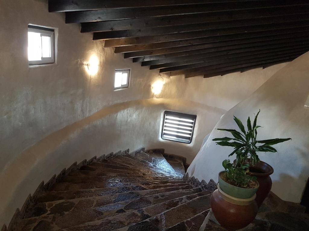 Fotografie z fotogalerie ubytování Hacienda Eco-Domes v destinaci Valle de Guadalupe