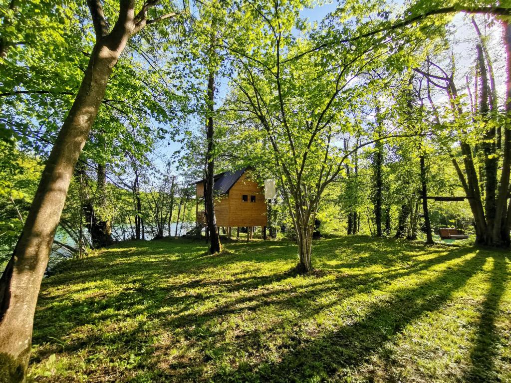 a house in the middle of a field with trees at Riverland in Gornji Zvečaj