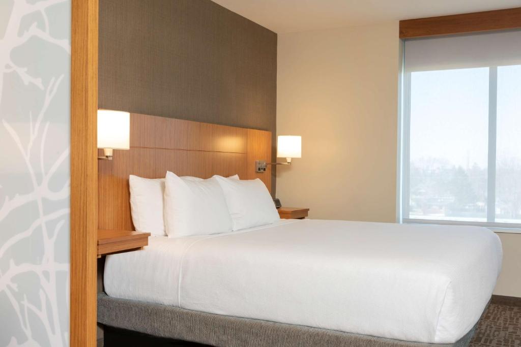 Hyatt Place Detroit/Royal Oak - Chambre Roi Avec Canapé-lit - Plancher Haut
