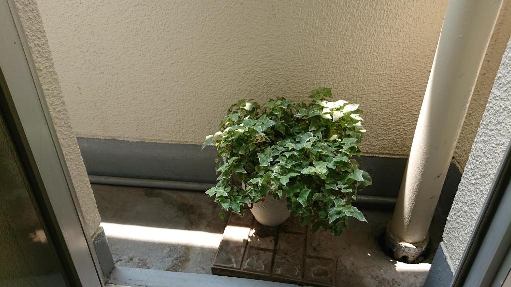 Fotografie z fotogalerie ubytování Kasuga Ryokan v destinaci Hirošima