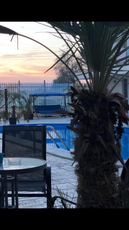Příroda nedaleko hotelu