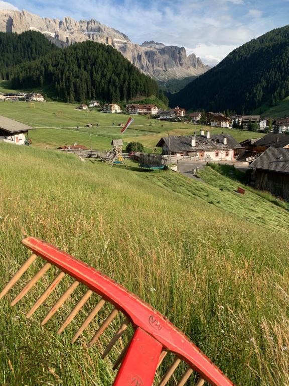 a red bench sitting in a field of tall grass at Agriturismo Maso Larciunei in Selva di Val Gardena