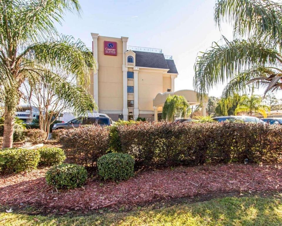 Comfort Suites Kenner في كينير: مبنى فيه اشجار وشجيرات امام مبنى