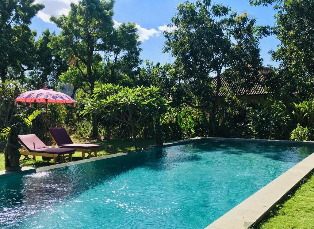 a swimming pool with two chairs and an umbrella at Mango Moon in Pemuteran