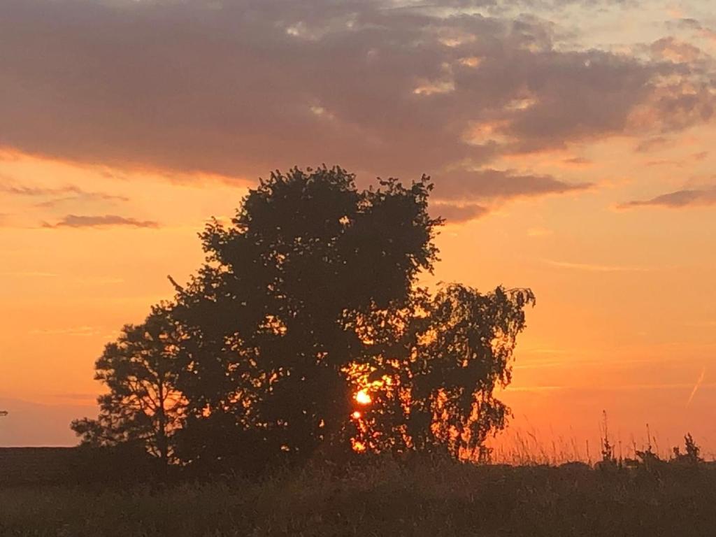 The sunrise or sunset as seen from a vendégházakat or nearby