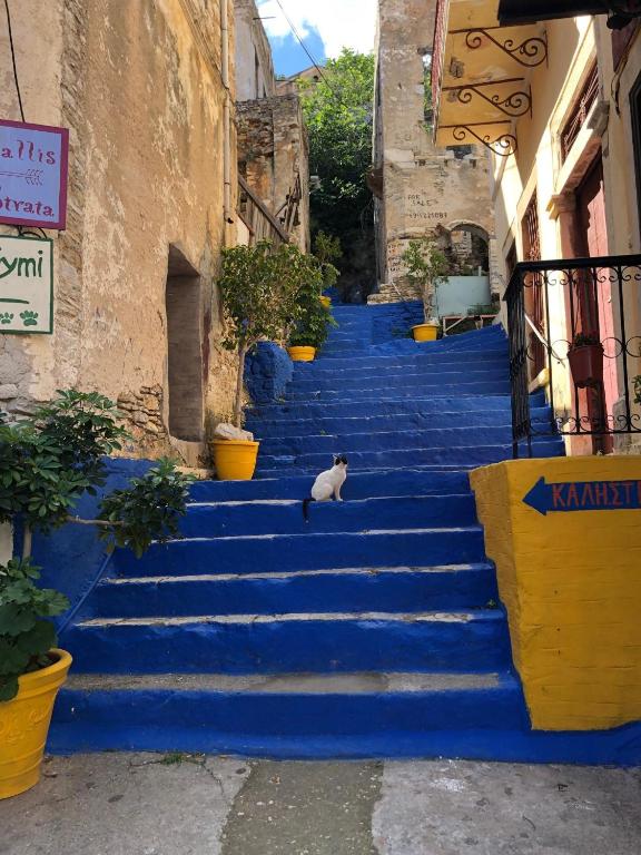 Fotografie z fotogalerie ubytování Astradeni v destinaci Symi