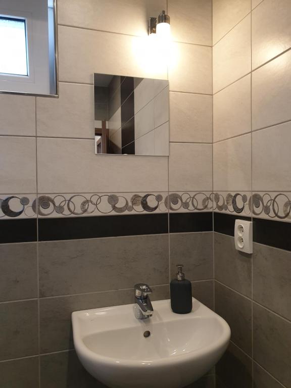 Apartments Horní Brána的一间浴室
